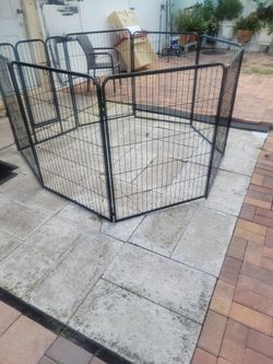 Dog Fence 