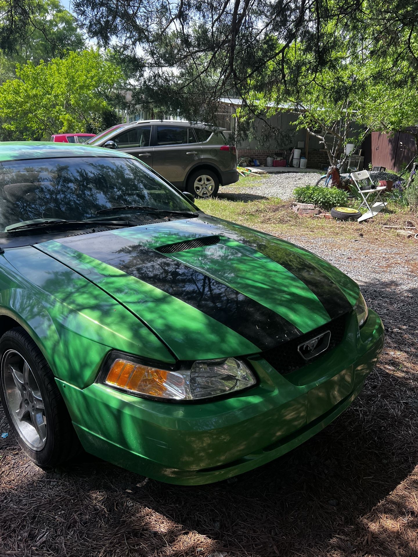 Mustang