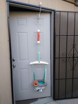 Baby door swing