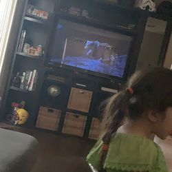 TV and media Storage