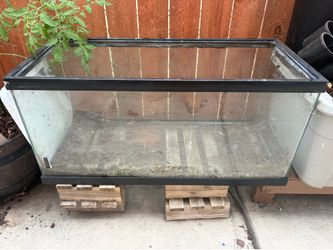 Aqua tank
