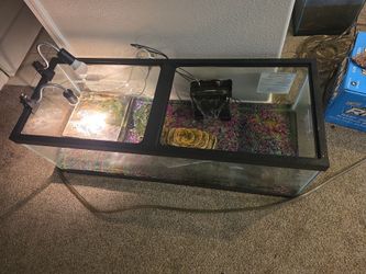 60 breeder