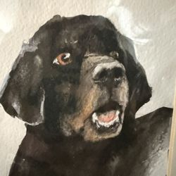 Original watercolor art of a cute black dog. Matted and signed.  Ready to Frame 8 x 10   Comes in a clear protective sleeve.