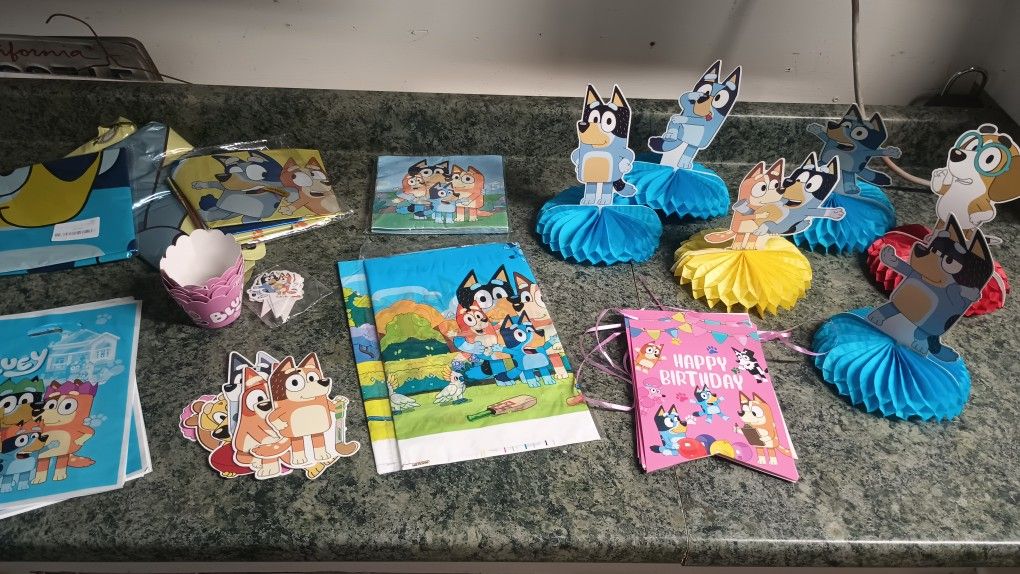 Bluey Party Stuff