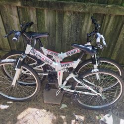 Folding bike