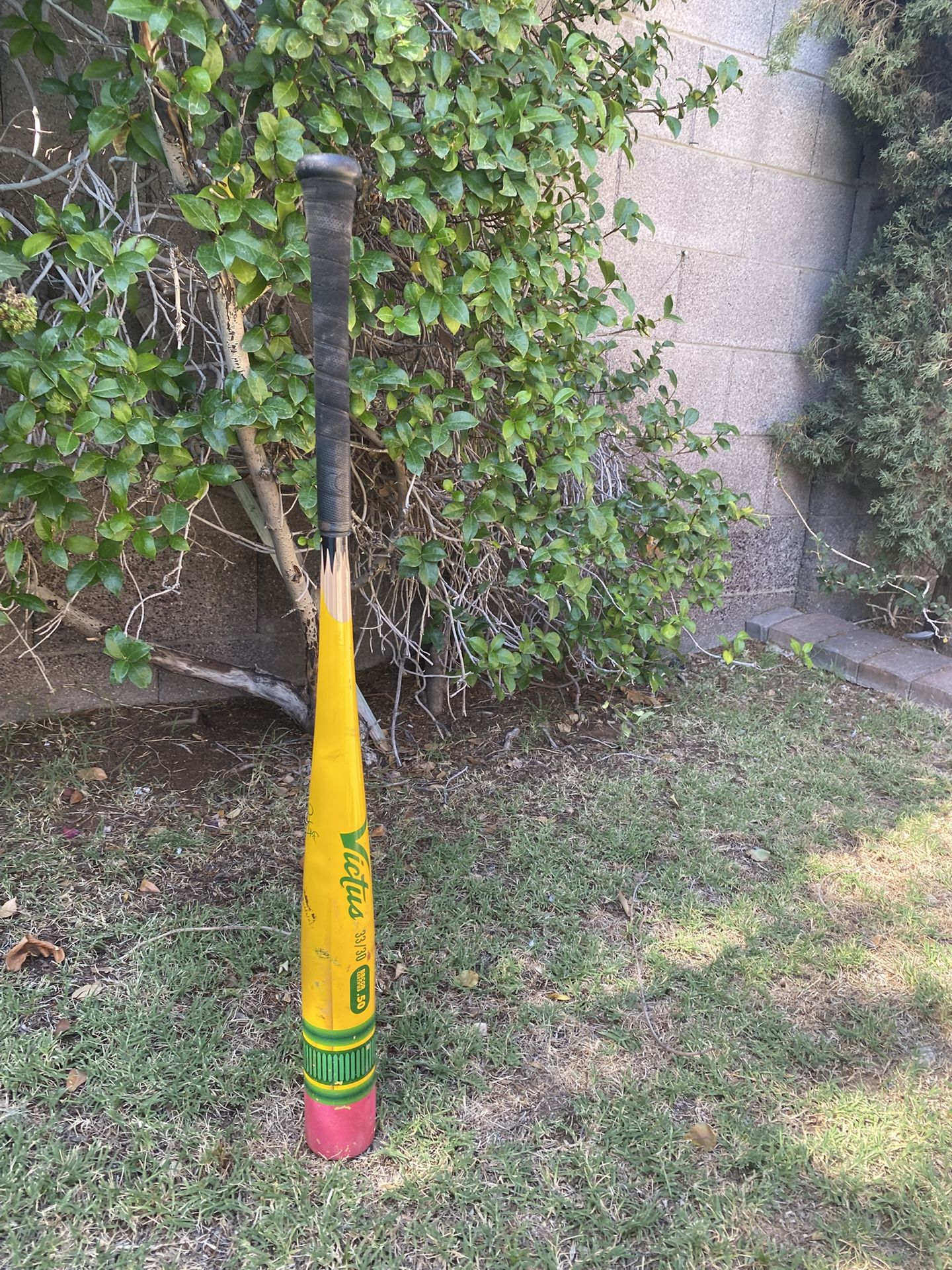 Bbcor Pencil Bat