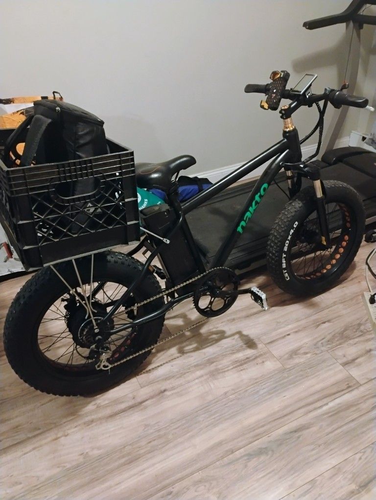 Electric Bike