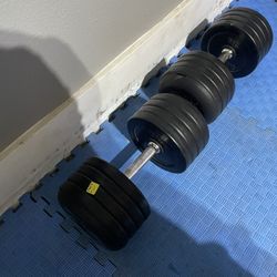 75 Lb Dumbells 