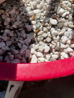 Free Rocks