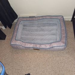 Dog Bed