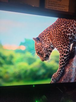 Great quality Medium sized monitor w power cord