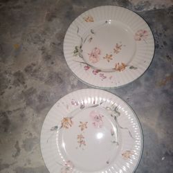 Set Of 5 Plate 