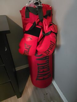 Punching bag with gloves