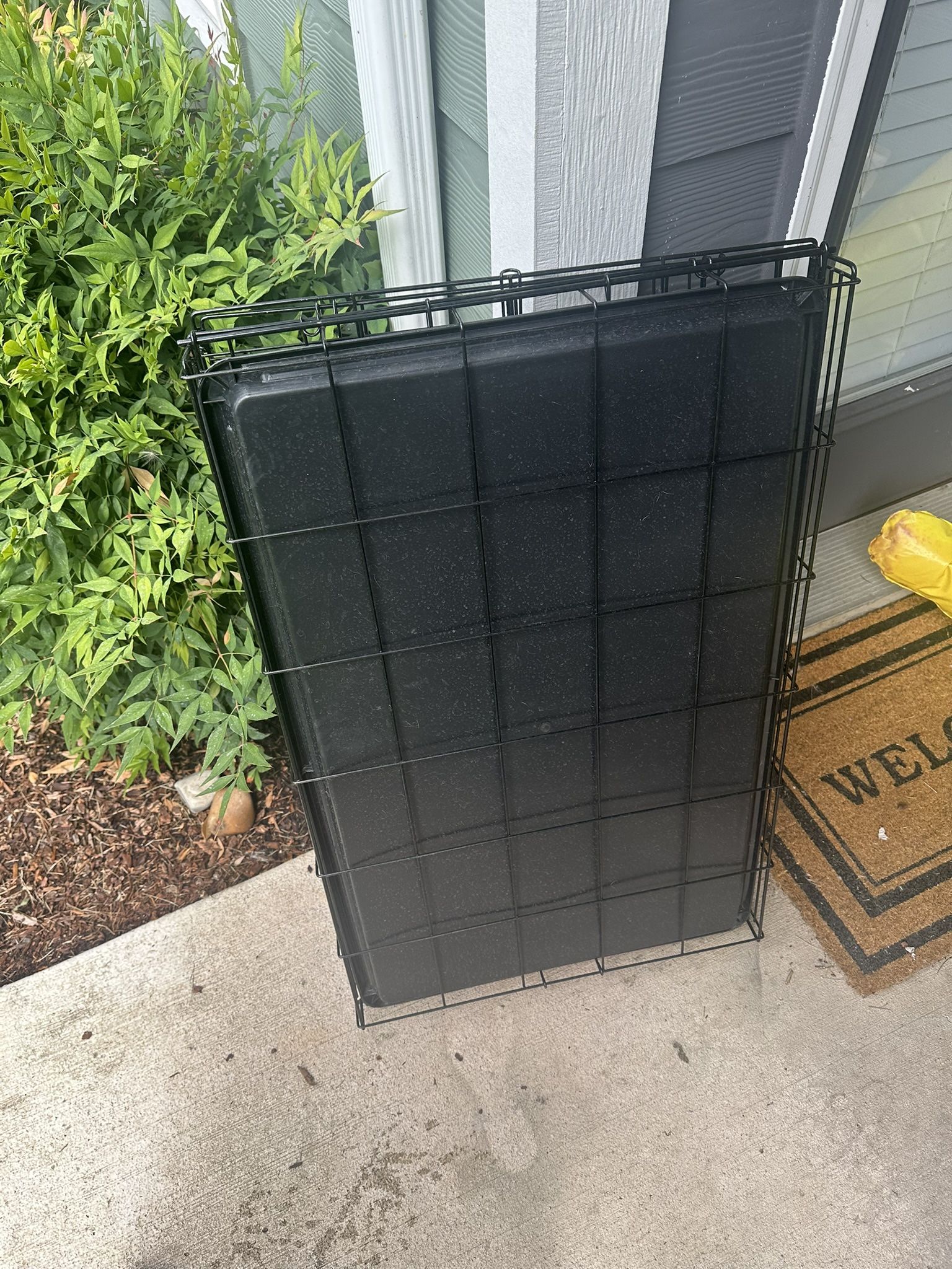 Dog Kennel