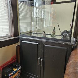 Fish Tank Fish Food Fish Care 