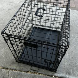 Black Dog Crate 