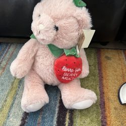 New modern expressions super soft Pink Teddy Bear with Strawberry