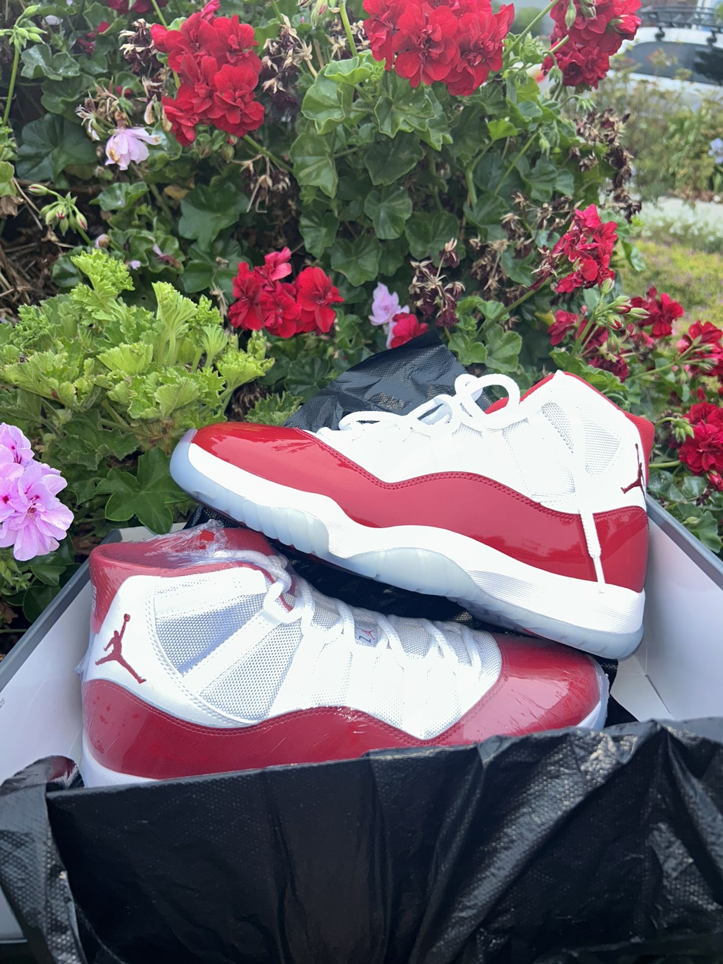 Retro Cherry Jordan 11s