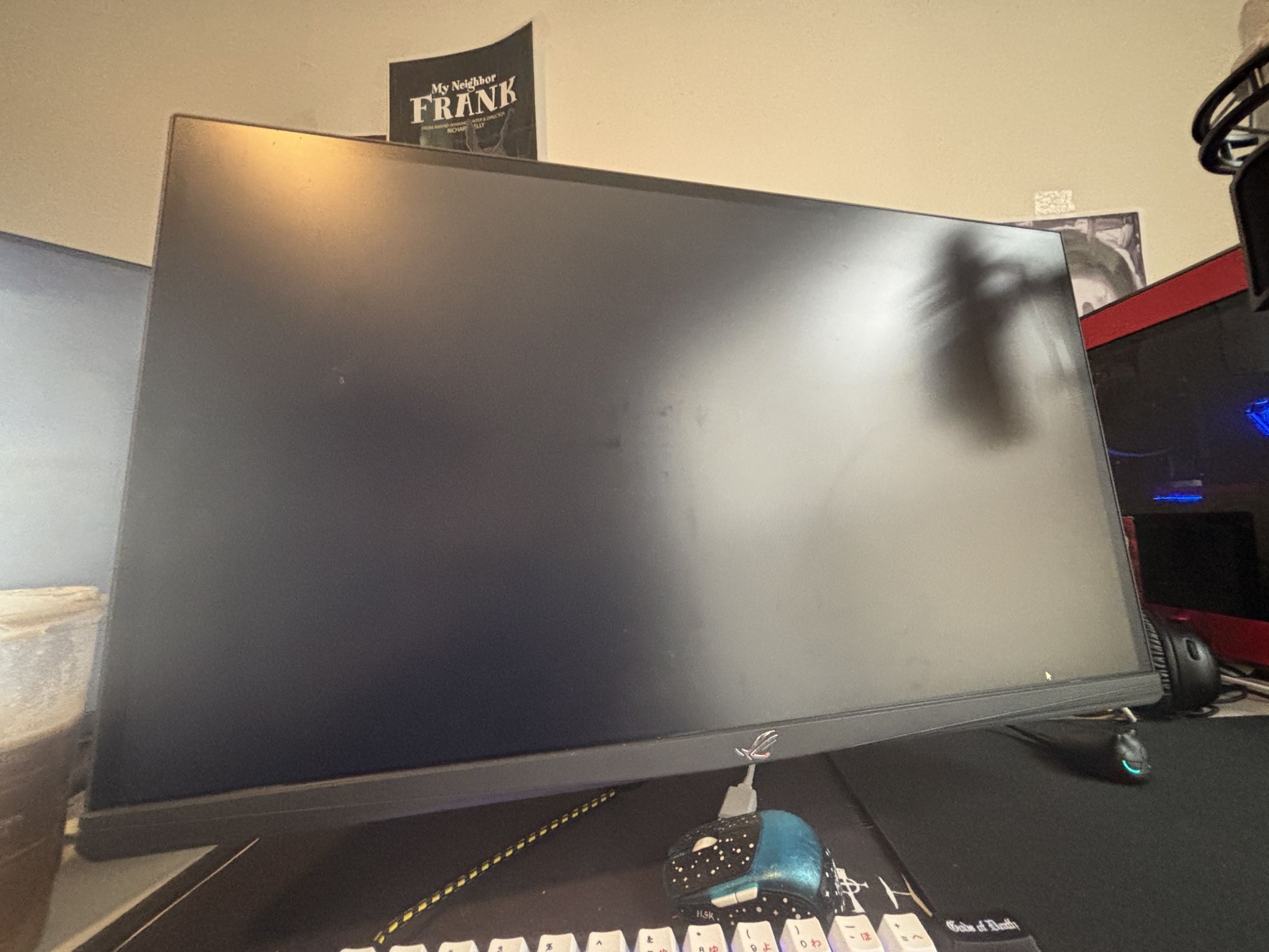 rog swift pg248qp 540hz Gaming Monitor