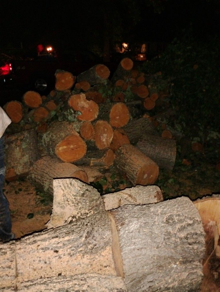 Free Fire Wood