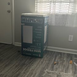 Mini Fridge