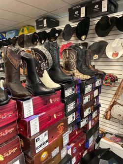 Gran variedad de botas vaqueras para toda la familia