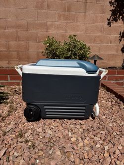 Igloo Cooler