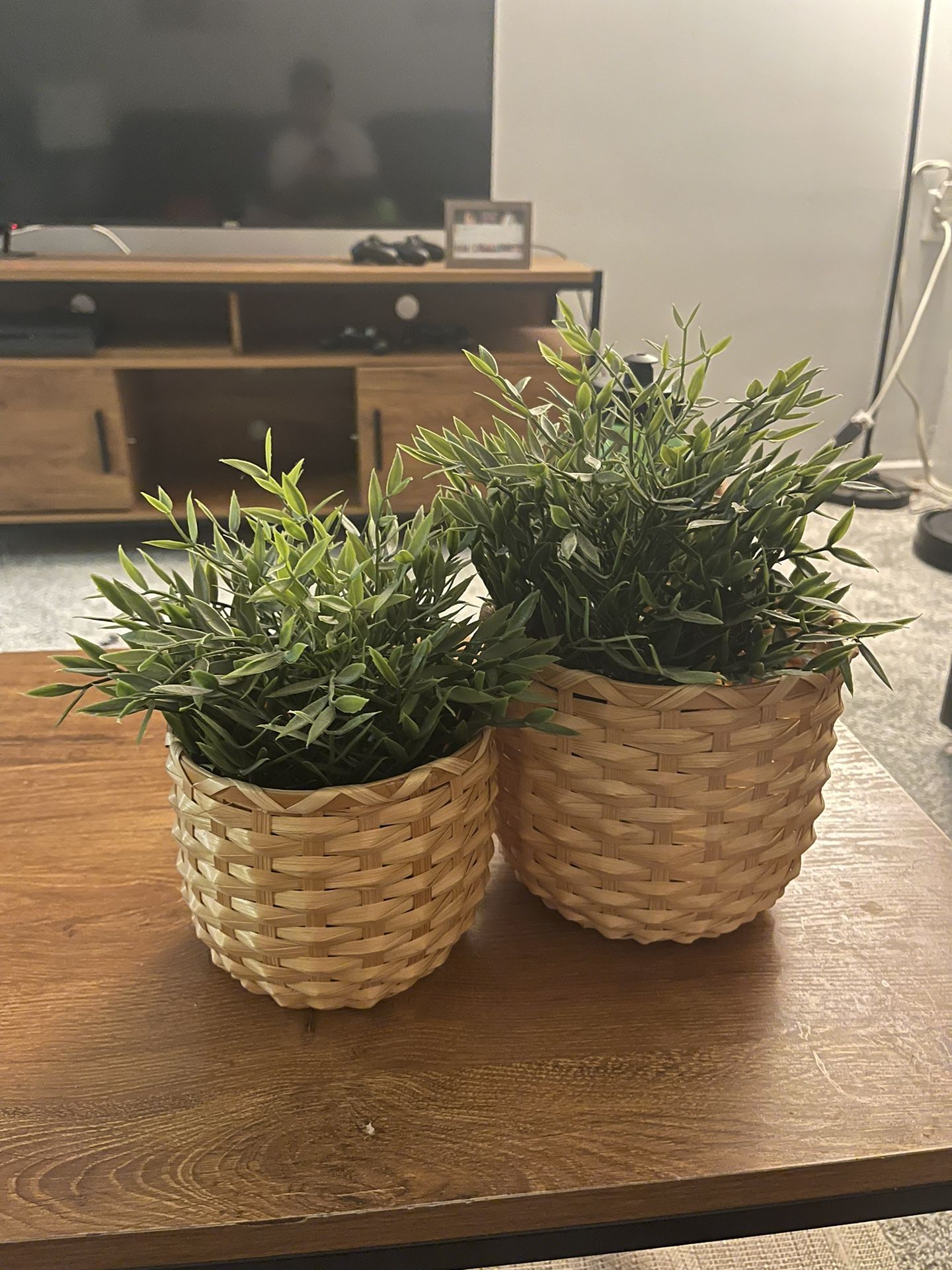 2 Generic Artificial Potted Plants, 10-11CM, for Home Office Decor, Living Room, Bedroom, Dining Room, Kitchen, Bathroom (Type 02), SW1015