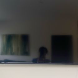 45 Inch Vizio TV- Must Be Gone By October 3rd