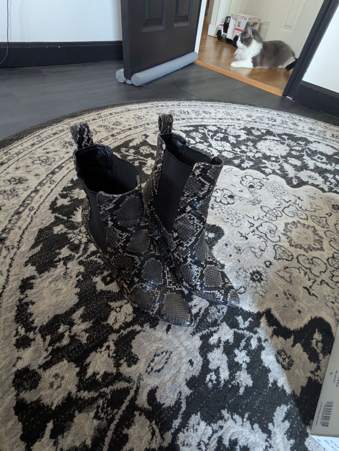 Steve Madden snake skin boots