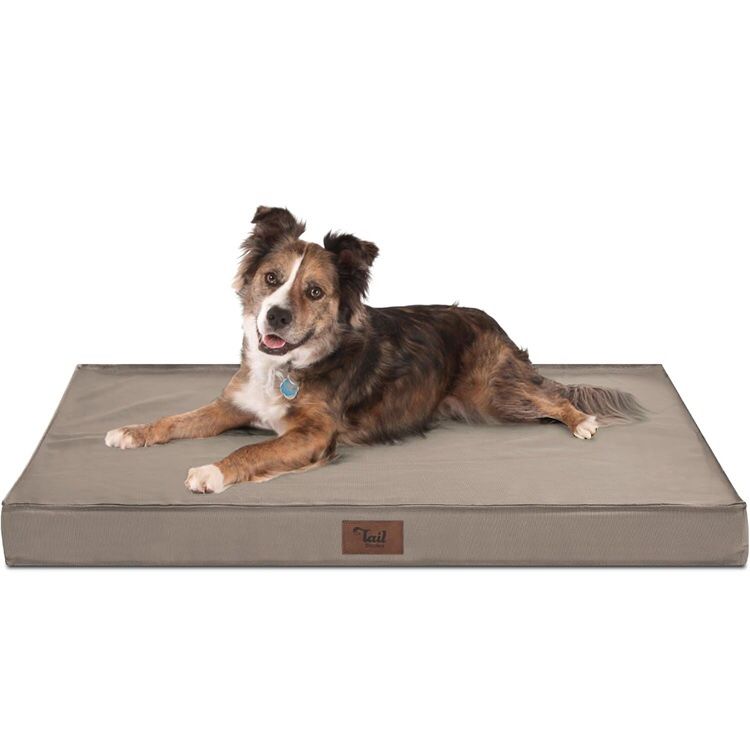 Waterproof Orthopedic Dog Bed for Large Dogs w/ Oxford Cover in Khaki