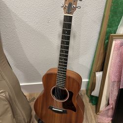 Taylor GS Mini