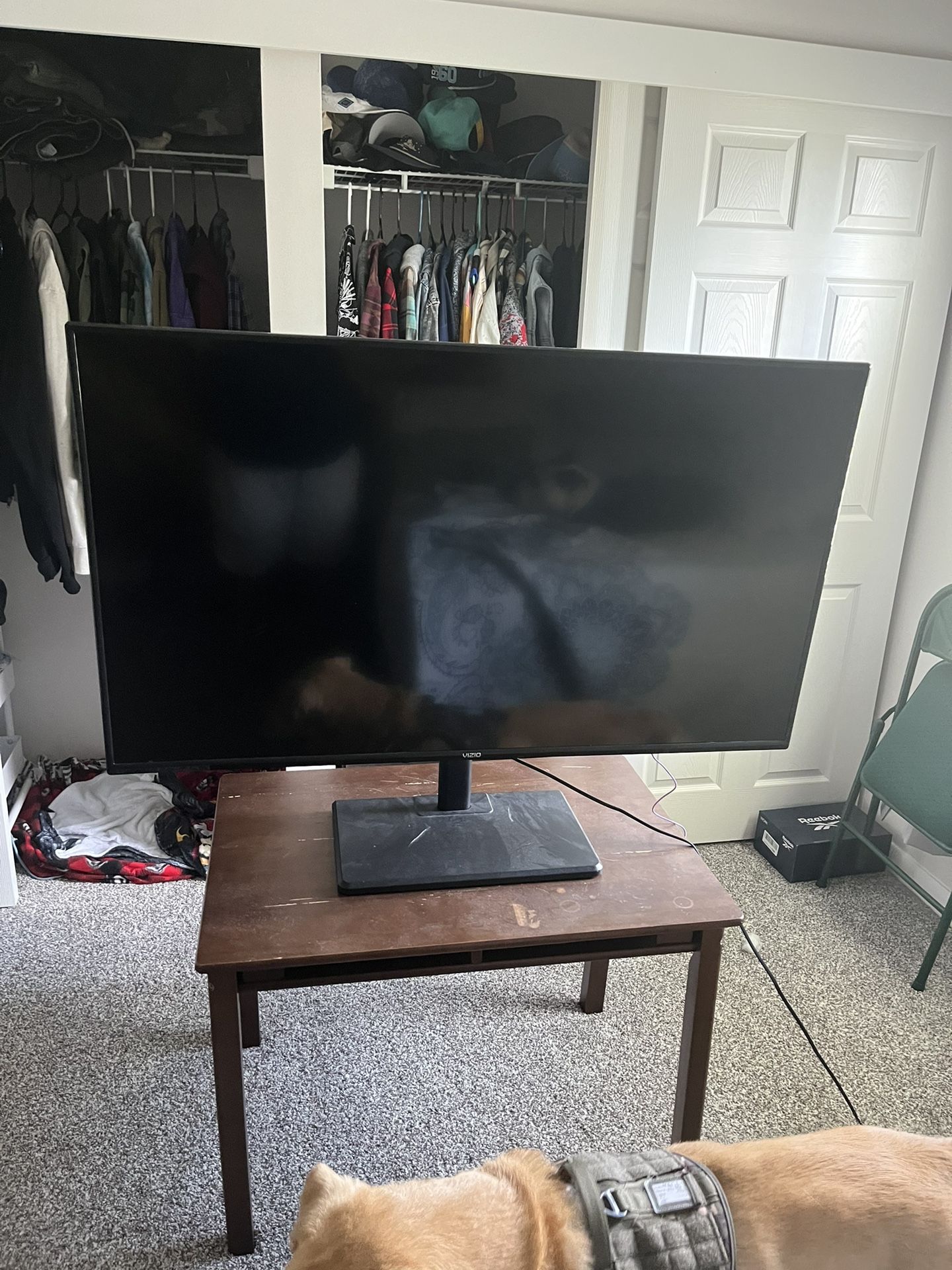 Vizio