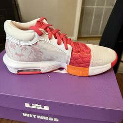 LeBron Witness V111