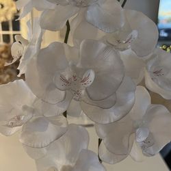 White Orchid Fake Plant  Thumbnail