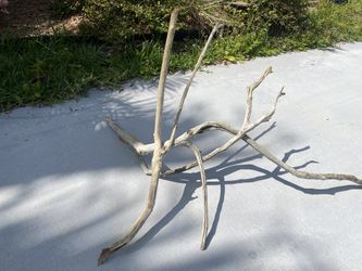 Drift Wood- 2ft X 3 Ft Long