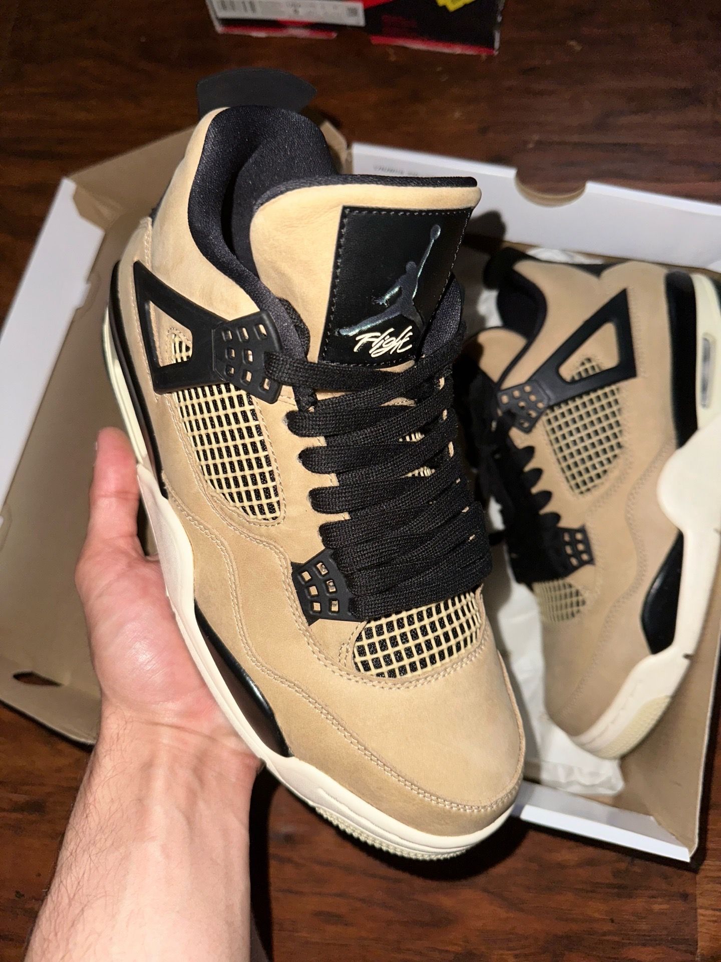 Air Jordan 4 fossil