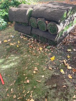 New Sod