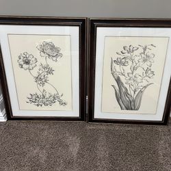 Pair of Botanicals from the Portfolio Collection England in Great Condition 25” x 37,5” Smoke free household