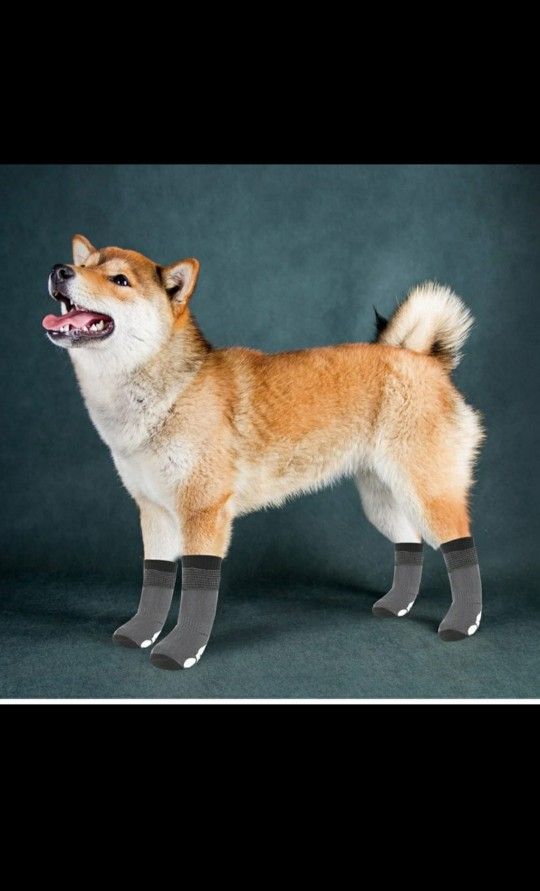 Expawlorer Dog Traction Control Anti-Slip Socks