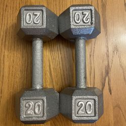 Pair 20lb Dumbbells 