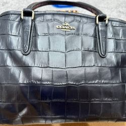 Coach Women's Sage Carryall  Leather Handbag