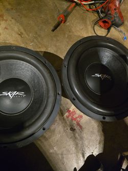 Skar  Audio 12" speakers