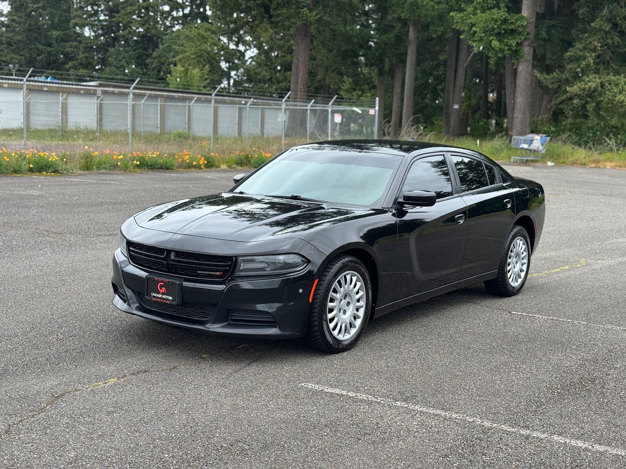 2019 Dodge Charger