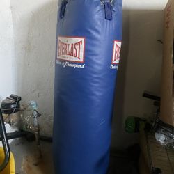 Everlasting Punching Bag 