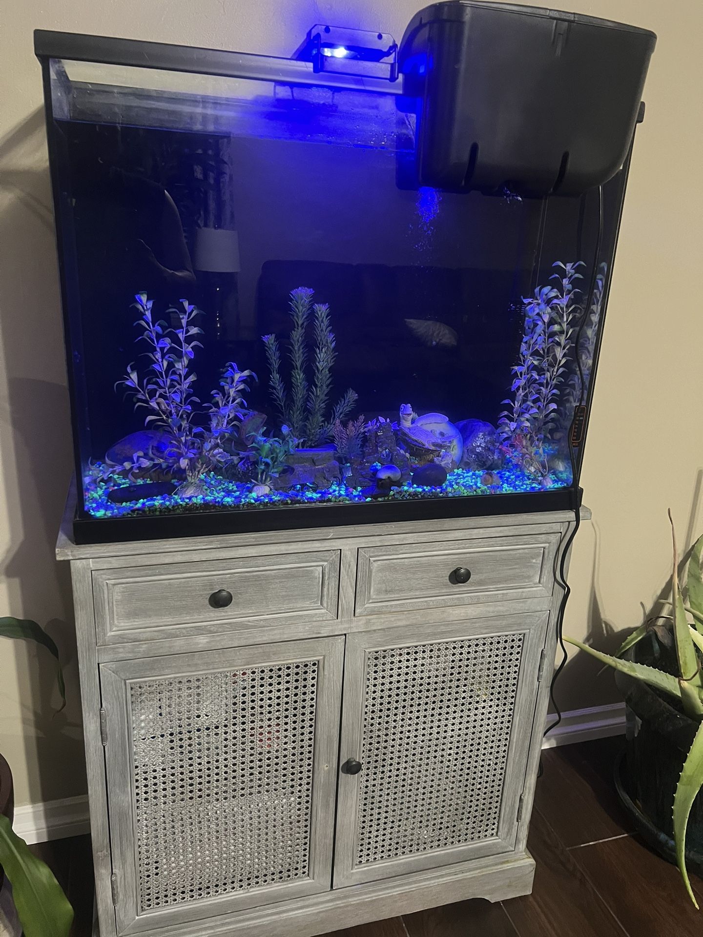 20 Gallon Fish Tank And Stand