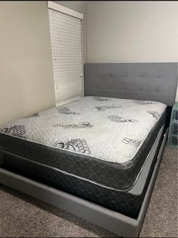 Queen bed and mattress