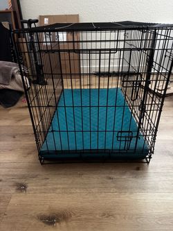 Everyday / Petco 36” Folding Wire Dog Crate + Padded Teal Mat