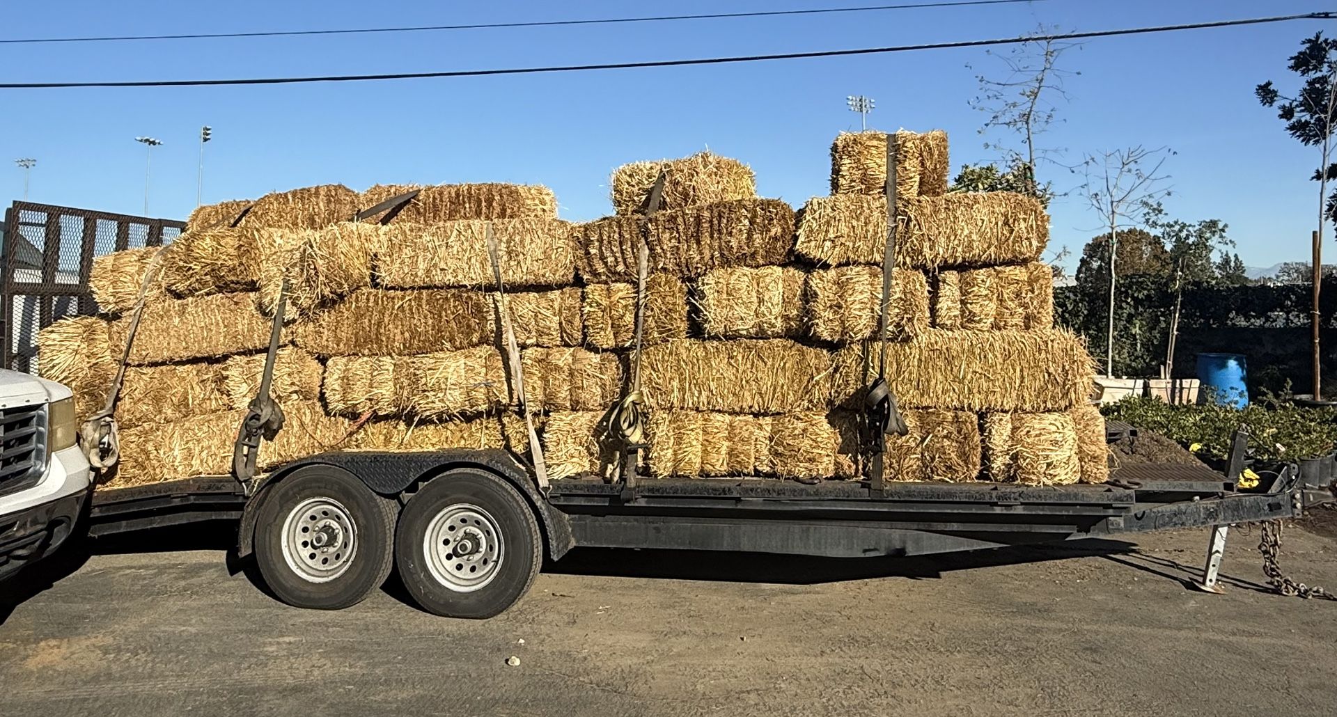 Straw Bale For Sale 