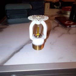 Fire Sprinkler